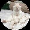 jeanette8955